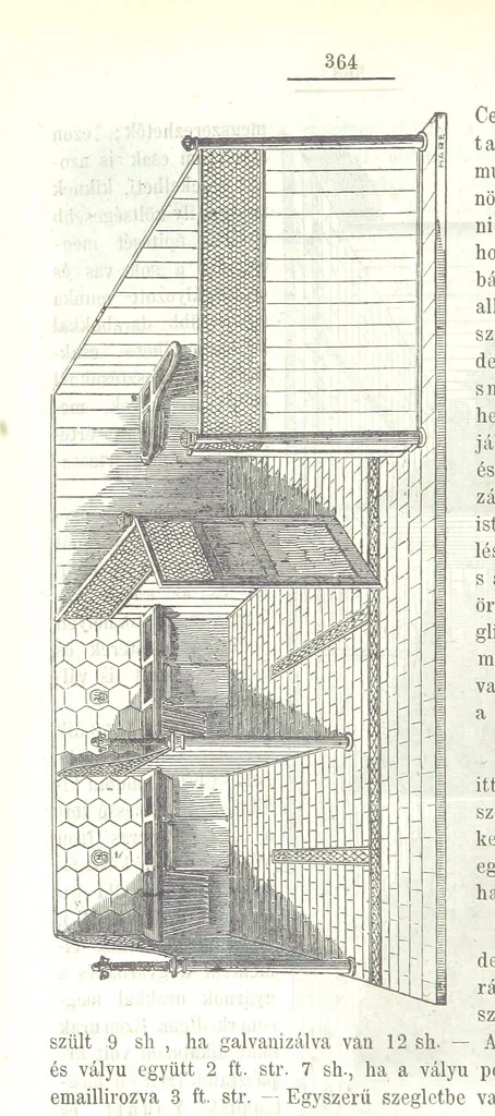 An illustration from Angol-Skóthoni napló 1858 és 1859 évekről, 1859, leaf 398