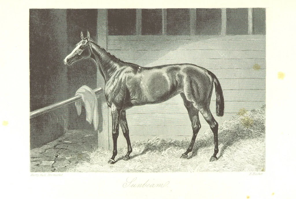 An illustration from Angol-Skóthoni napló 1858 és 1859 évekről, 1859, leaf 417