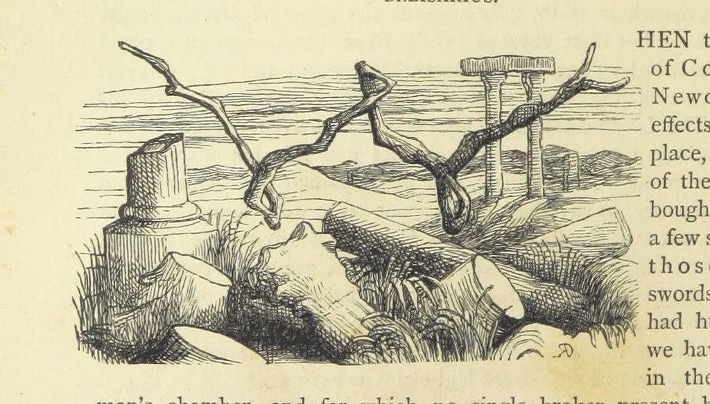 An illustration from The Works of William Makepeace Thackeray. [Library Edition, 1869, leaf 426