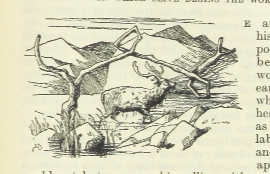An illustration from The Oxford Thackeray. With illustrations. [Edited with introductions by George Saintsbury, leaf 979