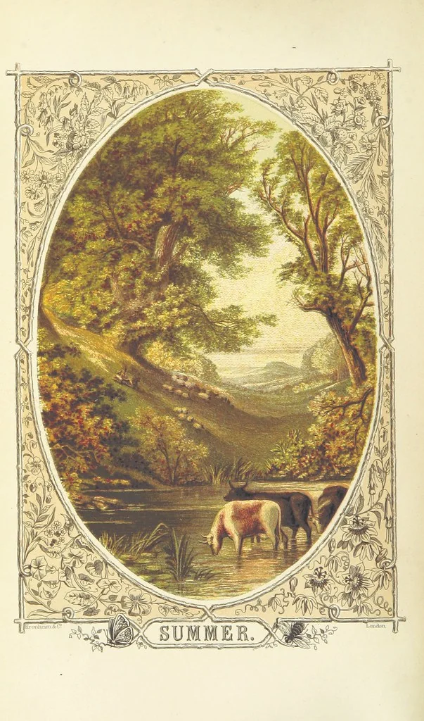 An illustration from The Poetical Works of James Thomson, James Beattie, Gilbert West and John Bampfylde ... New edition, 1868, leaf 66