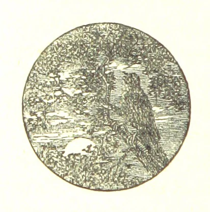 An illustration from The Poetical Works of James Thomson, James Beattie, Gilbert West and John Bampfylde ... New edition, 1878, leaf 118