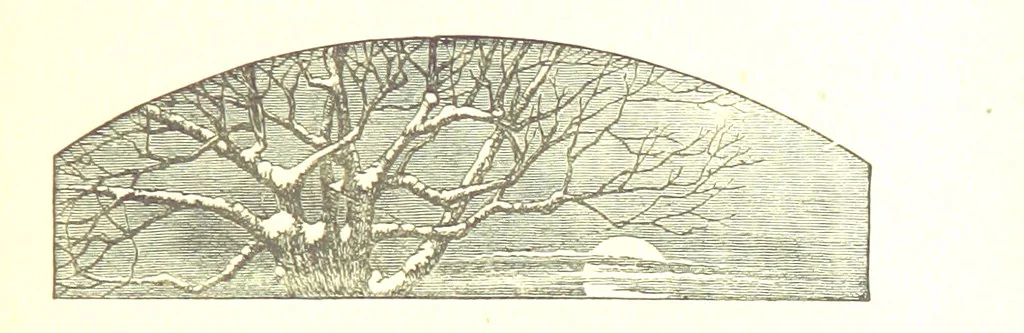 An illustration from The Poetical Works of James Thomson, James Beattie, Gilbert West and John Bampfylde ... New edition, 1878, leaf 167