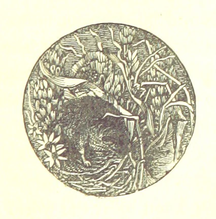 An illustration from The Poetical Works of James Thomson, James Beattie, Gilbert West and John Bampfylde ... New edition, 1878, leaf 209