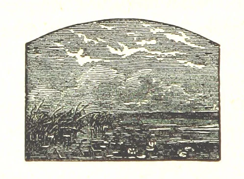 An illustration from The Poetical Works of James Thomson, James Beattie, Gilbert West and John Bampfylde ... New edition, 1878, leaf 214