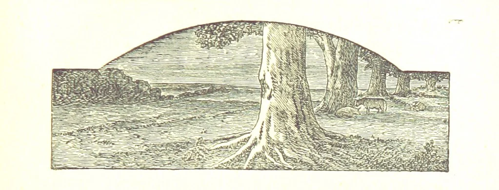 An illustration from The Poetical Works of James Thomson, James Beattie, Gilbert West and John Bampfylde ... New edition, 1878, leaf 321