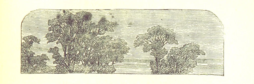 An illustration from The Poetical Works of James Thomson, James Beattie, Gilbert West and John Bampfylde ... New edition, 1878, leaf 489