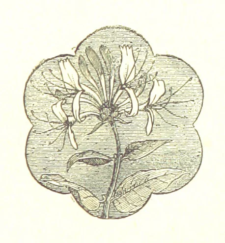 An illustration from The Poetical Works of James Thomson, James Beattie, Gilbert West and John Bampfylde ... New edition, 1878, leaf 511