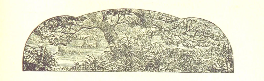 An illustration from The Poetical Works of James Thomson, James Beattie, Gilbert West and John Bampfylde ... New edition, 1878, leaf 515
