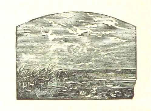 An illustration from The Poetical Works of James Thomson, James Beattie, Gilbert West and John Bampfylde ... New edition, 1878, leaf 520