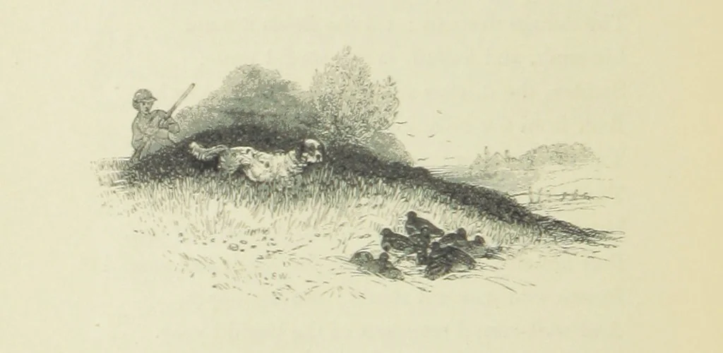 An illustration from The Seasons, and the Castle of Indolence ... With a biographical and critical introduction by A. Cunningham, etc, 1841, leaf 200