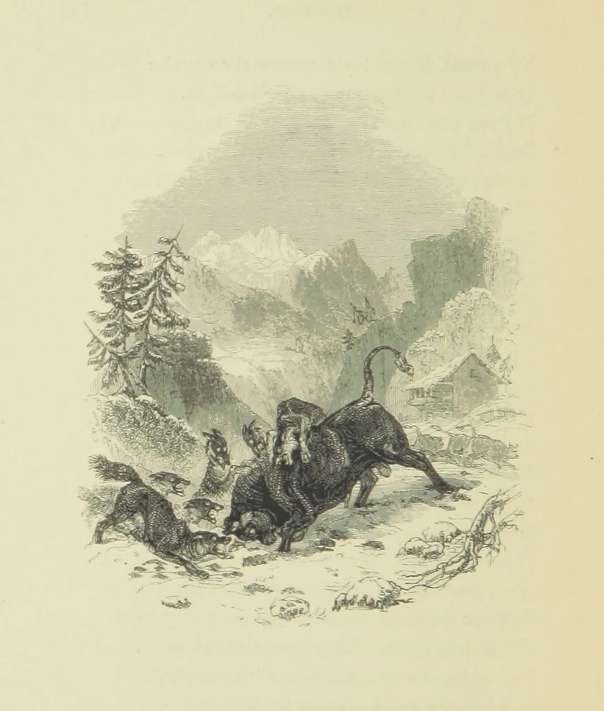 An illustration from The Seasons, and the Castle of Indolence ... With a biographical and critical introduction by A. Cunningham, etc, 1841, leaf 254