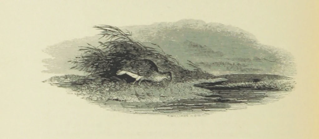 An illustration from The Seasons, and the Castle of Indolence ... With a biographical and critical introduction by A. Cunningham, etc, 1841, leaf 76