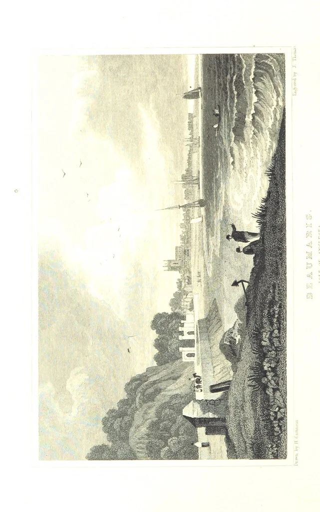 An illustration from Picturesque Scenery in Wales, illustrated by thirty-seven engravings on steel, by H. Adlard, Allen, Gastineau and others. With descriptions by J. Tillotson, 1860, leaf 102