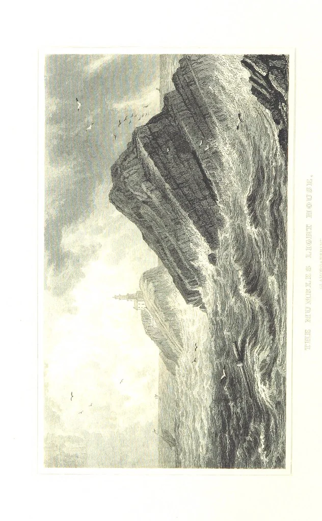 An illustration from Picturesque Scenery in Wales, illustrated by thirty-seven engravings on steel, by H. Adlard, Allen, Gastineau and others. With descriptions by J. Tillotson, 1860, leaf 192