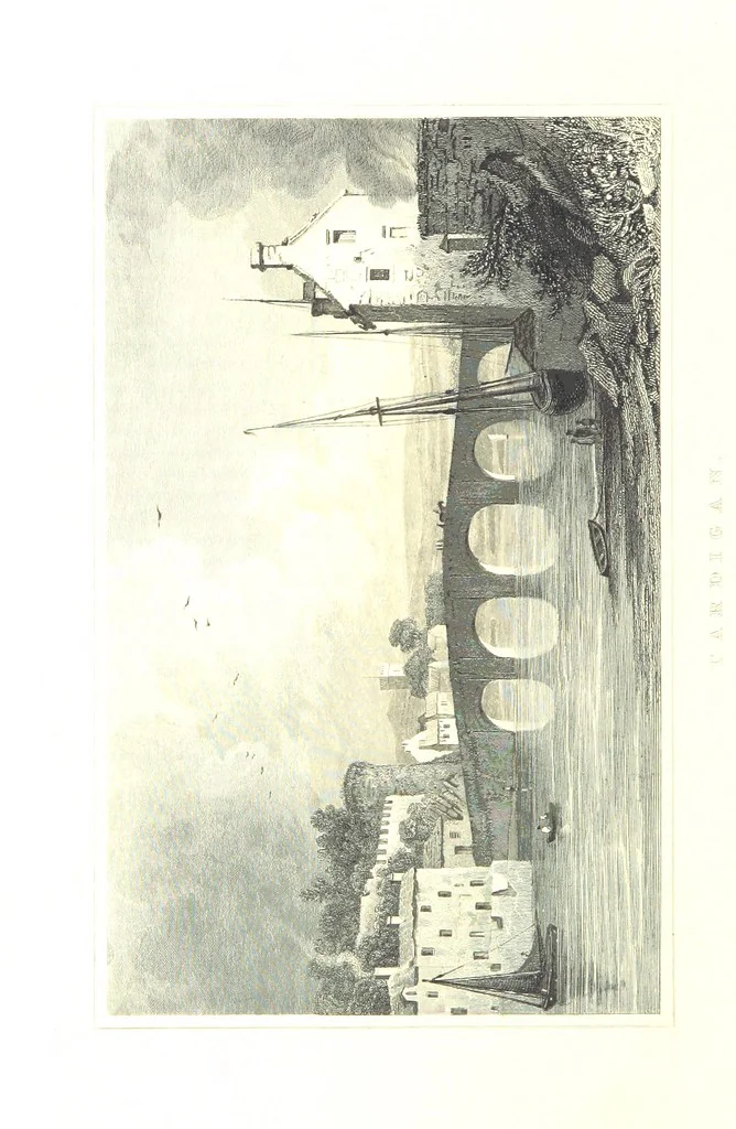 An illustration from Picturesque Scenery in Wales, illustrated by thirty-seven engravings on steel, by H. Adlard, Allen, Gastineau and others. With descriptions by J. Tillotson, 1860, leaf 204