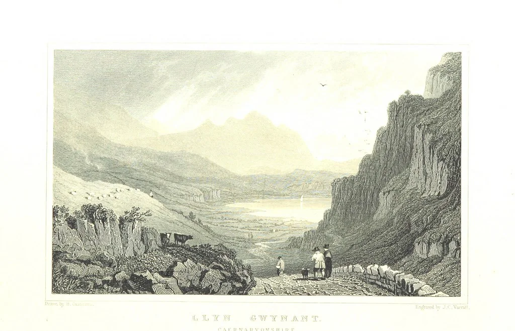 An illustration from Picturesque Scenery in Wales, illustrated by thirty-seven engravings on steel, by H. Adlard, Allen, Gastineau and others. With descriptions by J. Tillotson, 1860, leaf 56