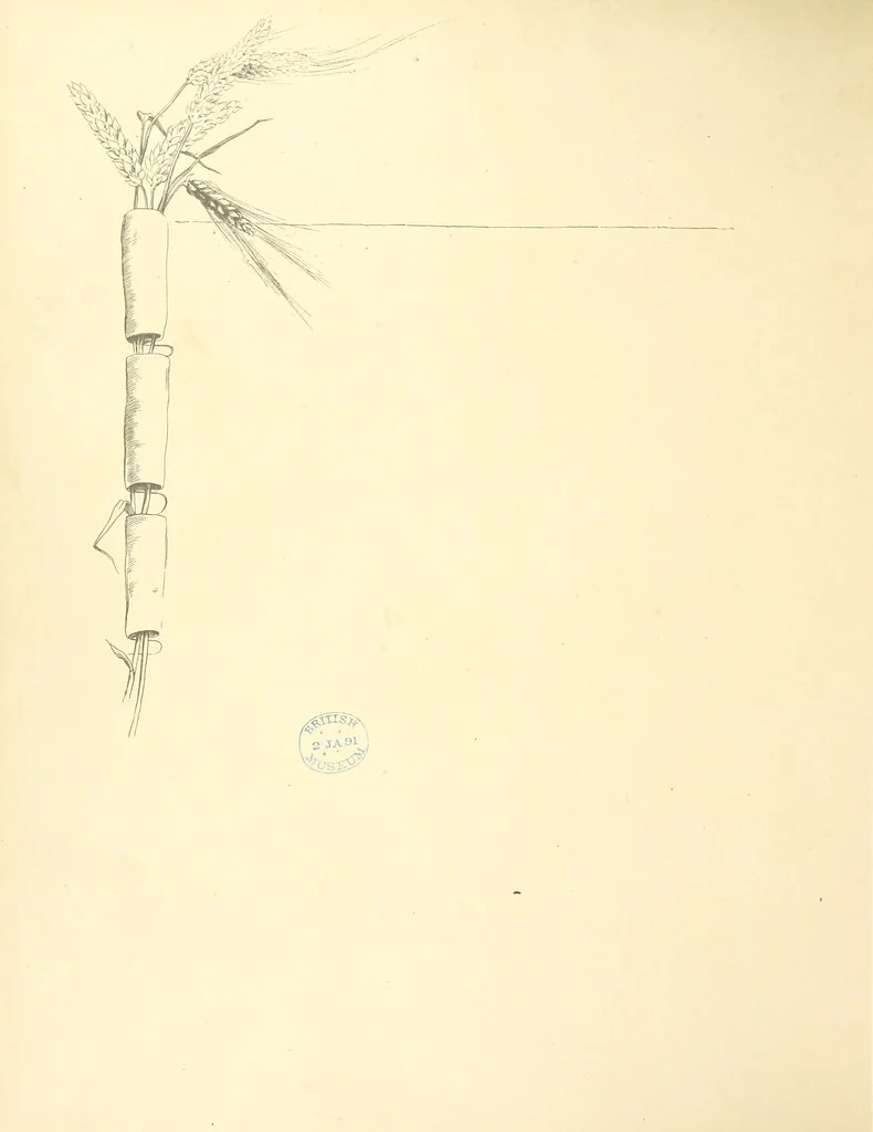 An illustration from Time's Footsteps. A record of red letter days and events. [Illustrated, 1890, leaf 54