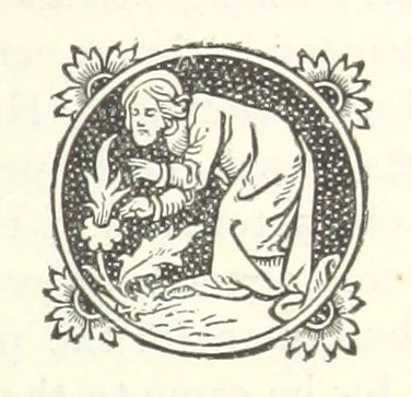 An illustration from The Story of the City of New York ... Illustrated, 1888, leaf 195