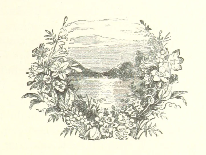 An illustration from The Story of the City of New York ... Illustrated, 1888, leaf 333