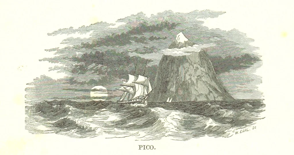 An illustration from To India and back by the Cape. By a Traveller. With numerous drawings on wood and stone by J. C. Anderson, from sketches by the author and others, 1895, leaf 109