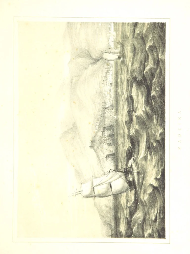 An illustration from To India and back by the Cape. By a Traveller. With numerous drawings on wood and stone by J. C. Anderson, from sketches by the author and others, 1895, leaf 19
