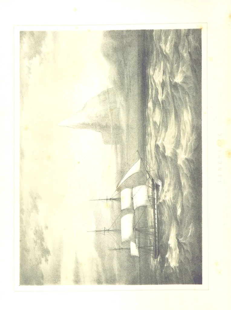 An illustration from To India and back by the Cape. By a Traveller. With numerous drawings on wood and stone by J. C. Anderson, from sketches by the author and others, 1895, leaf 22