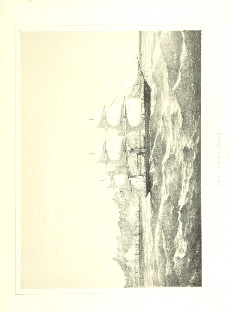 An illustration from To India and back by the Cape. By a Traveller. With numerous drawings on wood and stone by J. C. Anderson, from sketches by the author and others, 1895, leaf 45