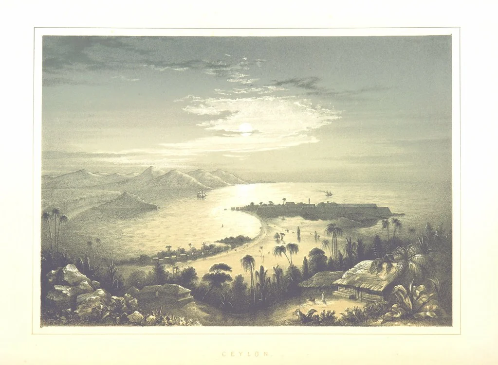 An illustration from To India and back by the Cape. By a Traveller. With numerous drawings on wood and stone by J. C. Anderson, from sketches by the author and others, 1895, leaf 48