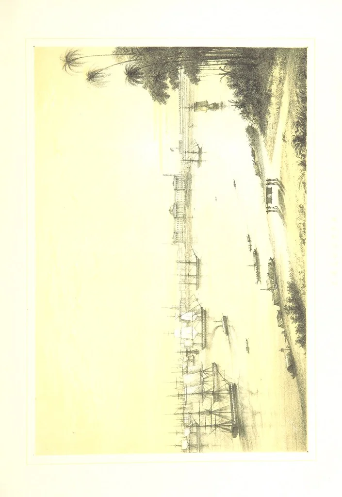 An illustration from To India and back by the Cape. By a Traveller. With numerous drawings on wood and stone by J. C. Anderson, from sketches by the author and others, 1895, leaf 55