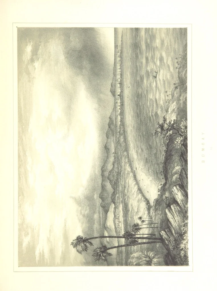 An illustration from To India and back by the Cape. By a Traveller. With numerous drawings on wood and stone by J. C. Anderson, from sketches by the author and others, 1895, leaf 67