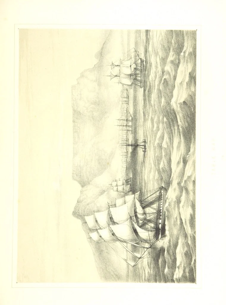 An illustration from To India and back by the Cape. By a Traveller. With numerous drawings on wood and stone by J. C. Anderson, from sketches by the author and others, 1895, leaf 83