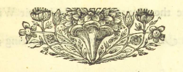 An illustration from Miscellaneous Poems and Translations, 1731, leaf 207