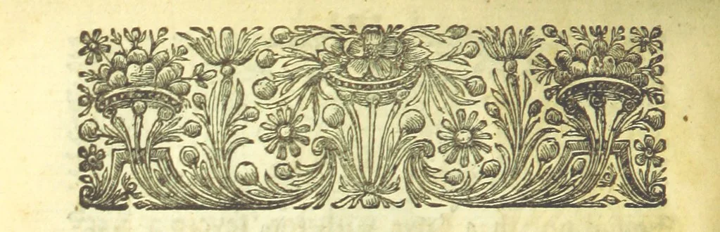 An illustration from Miscellaneous Poems and Translations, 1731, leaf 224