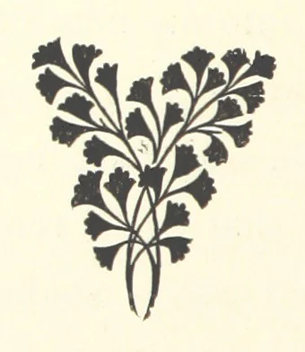 An illustration from The Bishop's Wife. A sketch, 1893, leaf 116