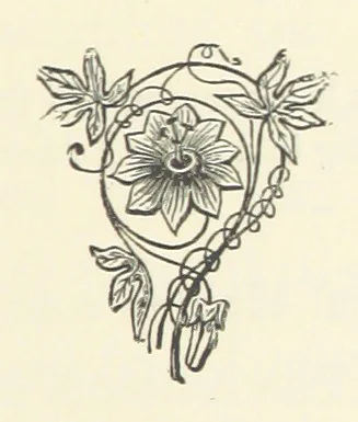 An illustration from The Bishop's Wife. A sketch, 1893, leaf 55