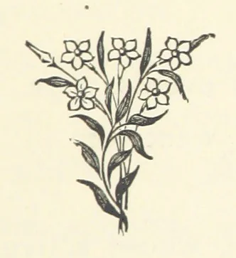 An illustration from The Bishop's Wife. A sketch, 1893, leaf 71