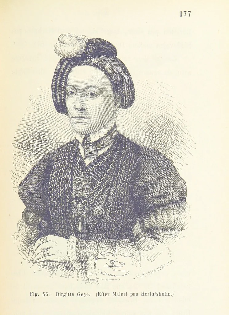 An illustration from Danmarks og Norges Historie i Slutningen af det 16de Aarhundrede, 1879, leaf 491