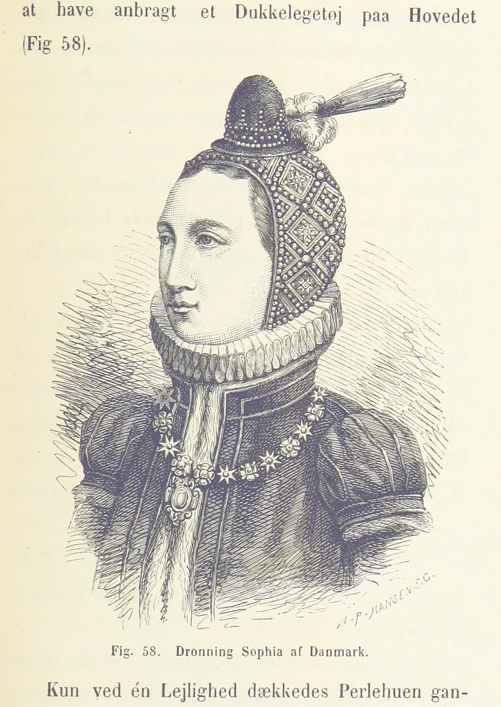 An illustration from Danmarks og Norges Historie i Slutningen af det 16de Aarhundrede, 1879, leaf 493