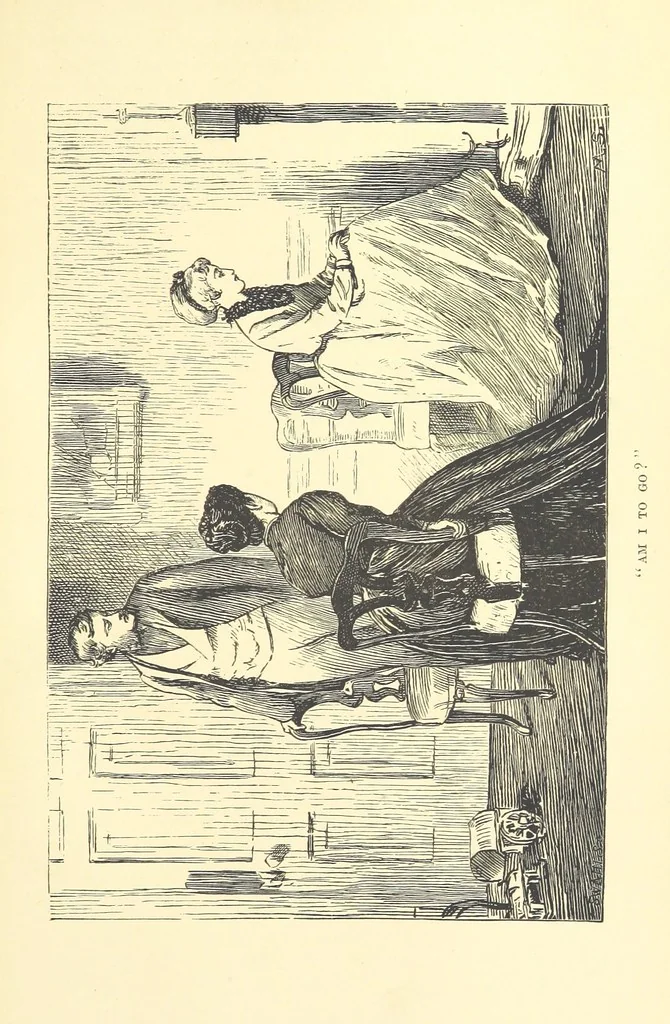 An illustration from He knew he was right, 1869, leaf 361