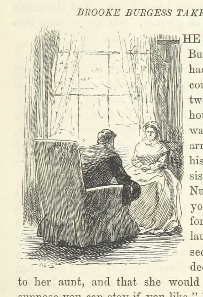 An illustration from He knew he was right, 1869, leaf 397
