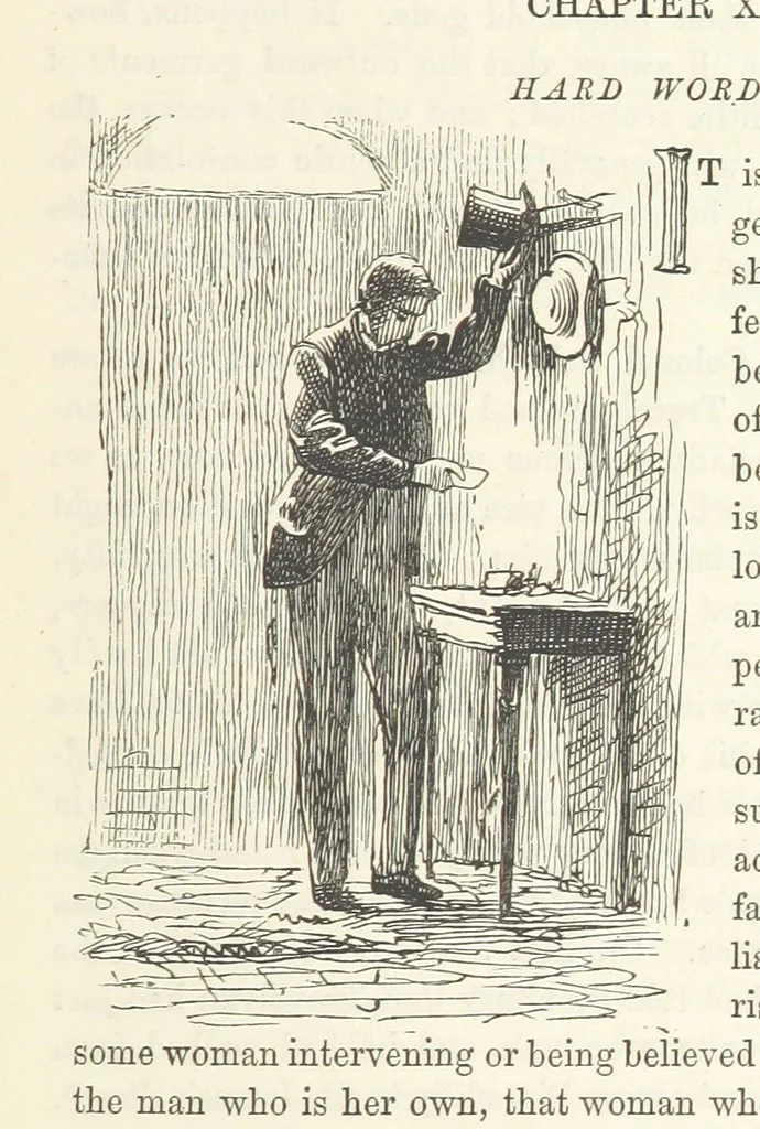 An illustration from He knew he was right, 1869, leaf 99