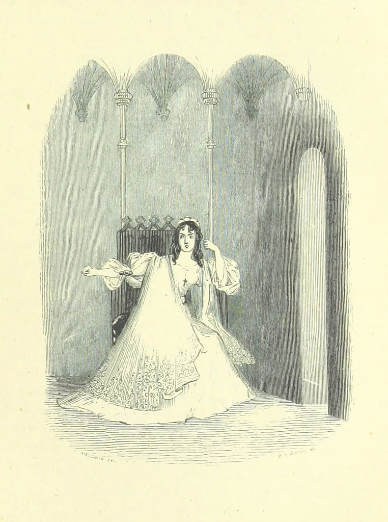 An illustration from Spain ... With 21 illustrations by J. K. Meadows, 1872, leaf 131