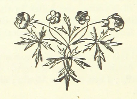 An illustration from Spain ... With 21 illustrations by J. K. Meadows, 1872, leaf 174