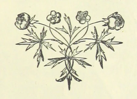 An illustration from Spain ... With 21 illustrations by J. K. Meadows, 1872, leaf 217