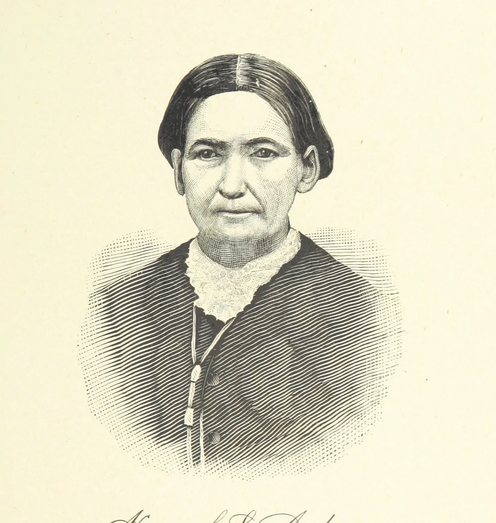An illustration from History of Trumbull and Mahoning Co.'s, with illustrations and biographical sketches, 1882, leaf 209
