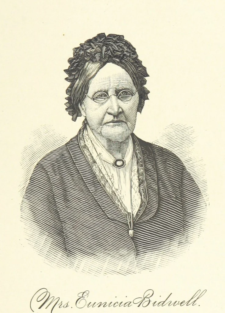 An illustration from History of Trumbull and Mahoning Co.'s, with illustrations and biographical sketches, 1882, leaf 393