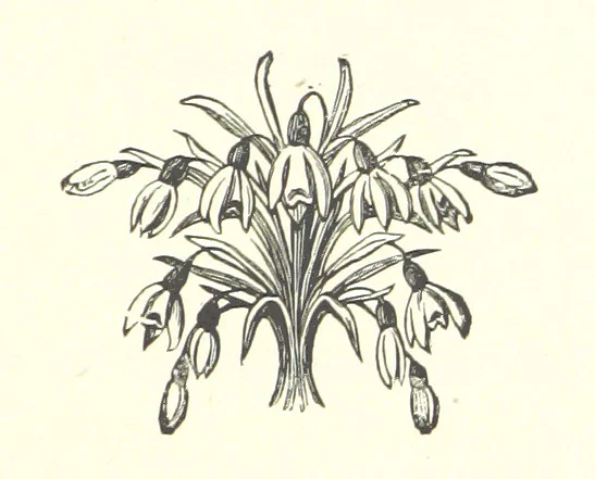 An illustration from Little Loving-Hearts Poem-Book ... With illustrations, 1882, leaf 109