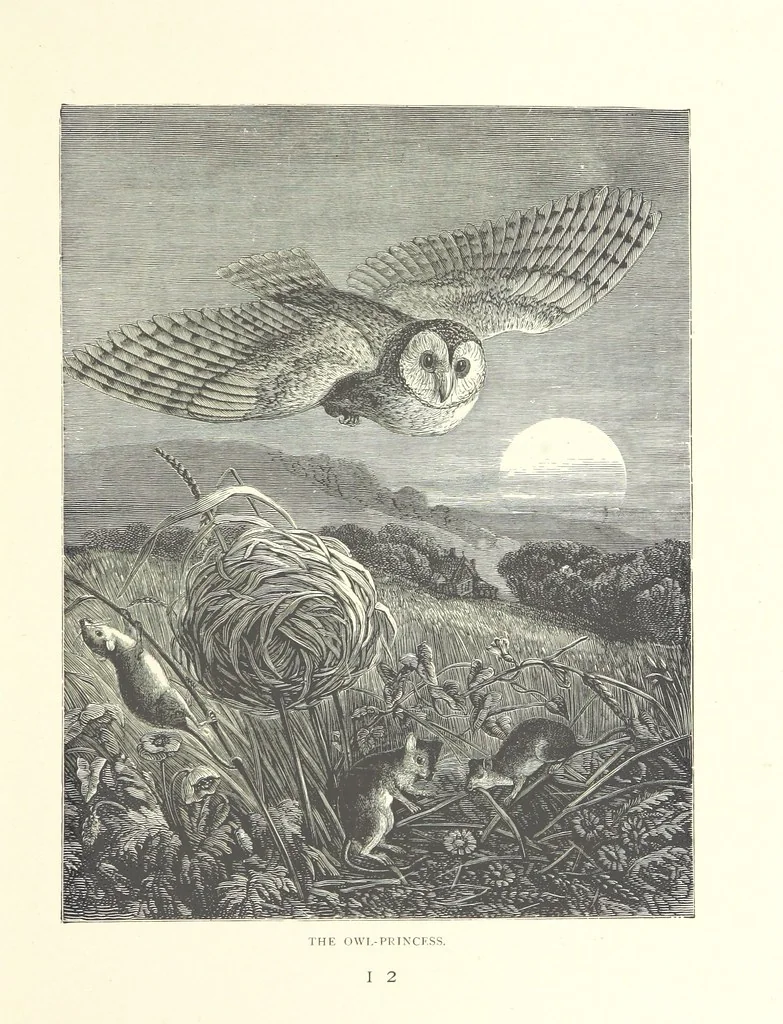 An illustration from Little Loving-Hearts Poem-Book ... With illustrations, 1882, leaf 133