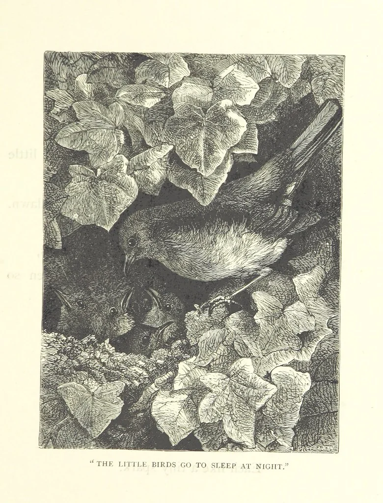 An illustration from Little Loving-Hearts Poem-Book ... With illustrations, 1882, leaf 23